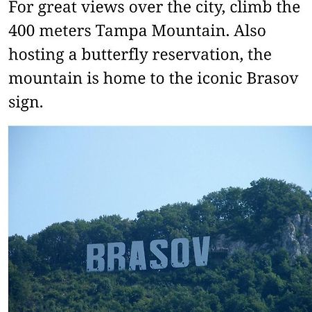Maya'S Apartament Brasov 아파트 외부 사진